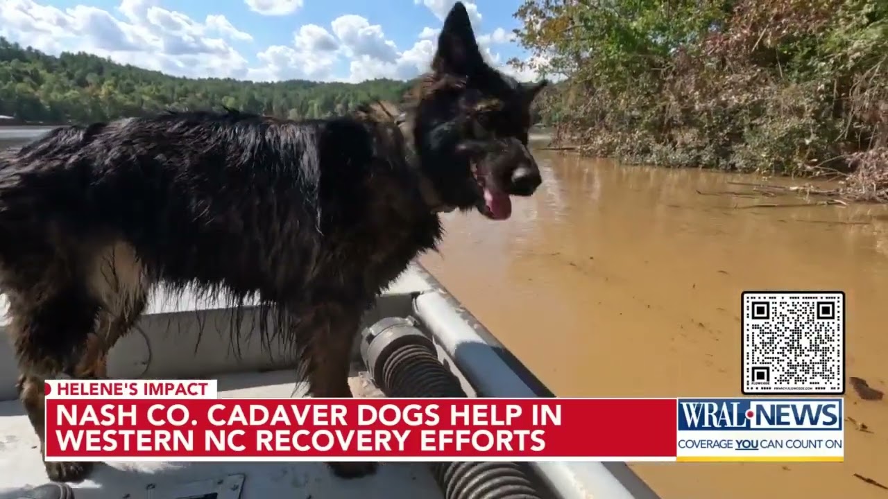 Nash deputy and cadaver dog perform grim, yet necessary job in finding bodies along Lake James
