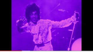 Prince- Raspberry Beret