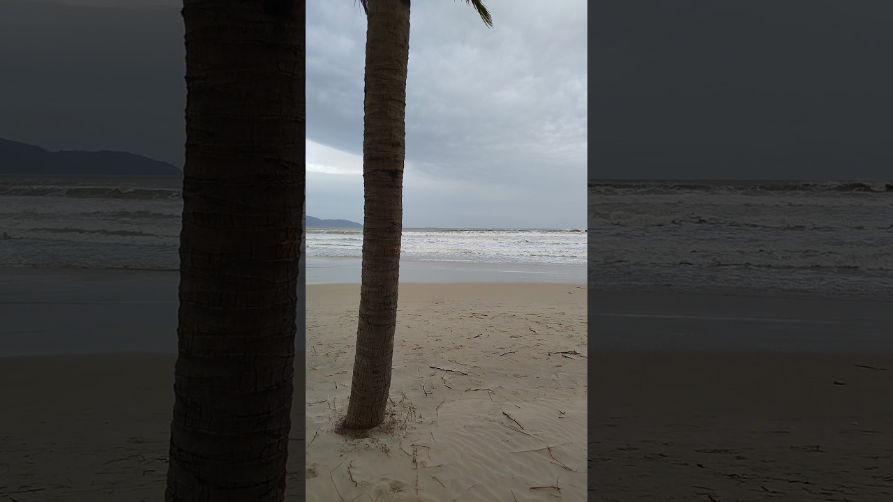 다낭 미케비치 파도