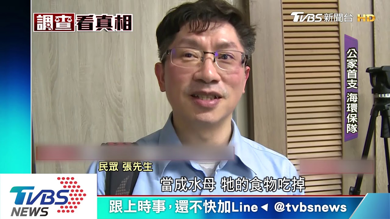 海洋垃圾增 桃成立環保潛水隊「海清道夫」