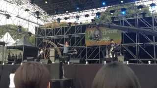 Sam Ock - Rollercoaster @GMF 2014, Korea