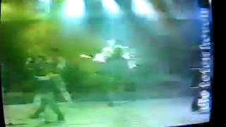 Hacelo x Mí - Die Toten Hosen Do anything you wanna do 1992