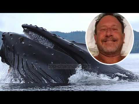 Top Channel/ E pabesueshme:  Balena gëlltit zhytësin, ai del gjallë nga barku i saj!