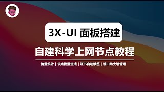【2025最新】3X-ui 面板搭建教程！VPS自建独享IP节点｜vless+reality+vision加密协议｜搭建Xray面板｜自建科学上网VPS节点｜彻底告别机场｜翻墙梯子推荐｜无惧晚高峰