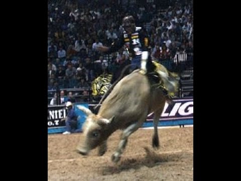 Vindicator bucks Clint Branger - 98 PBR Finals