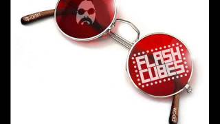 THE FLASHCUBES- I Can Hear The Grass Grow