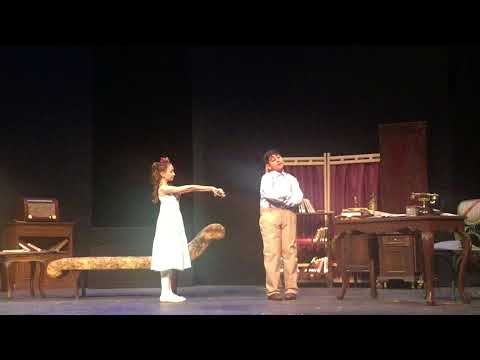 YARIN BÜTÜN DÜNYA-2017