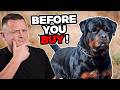 Is The Rottweiler Right For You