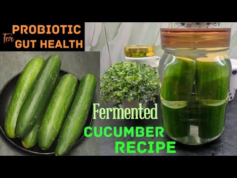 Fermented Cucumber | Lacto Fermented Recipe | Cucumber recipe | Probiotic Recipes | Shobha
