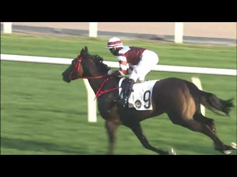 16/1/2022 (344) Sight Spirit - J Moreira