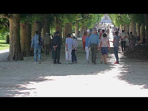 image : Des poules, des canards, des chats .. le jardin des soleiades à Nîmes