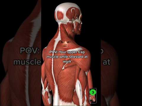 His Upper Trap Was ALWAYS TIGHT!