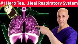 #1 Respiratory Herb Tea...For Colds, Coughs, Mucus, Congestion, Difficulty Breathing | Dr. Mandell