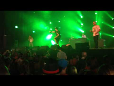 slongs dievanongs  en halve neuro