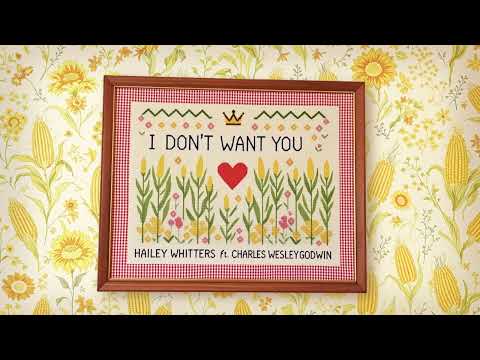 Hailey Whitters - I Don't Want You (feat. Charles Wesley Godwin) (Official Audio)