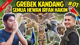 Download lagu GREBEK SEMUA KOLEKSI HEWAN IRFAN HAKIM TERLENGKAP! RUMAH ISINYA HEWAN SEMUA! #GREBEKKANDANG #PART1 mp3 Download lagu GREBEK SEMUA KOLEKSI HEWAN IRFAN HAKIM TERLENGKAP! RUMAH ISINYA HEWAN SEMUA! #GREBEKKANDANG #PART1 mp3