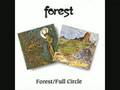 Graveyard by Forest 