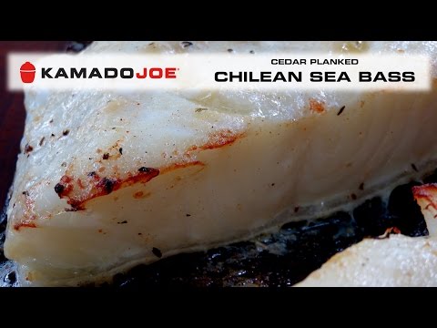 download lagu mp3 mp4 Kamado Fish, download lagu Kamado Fish gratis, unduh video klip Kamado Fish