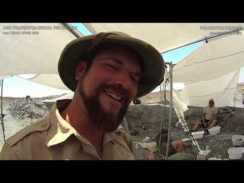 UTAH DINOSAUR DIG, Day 9 ⛏️🦴🦖 Let's excavate some more iguanodont bones new species