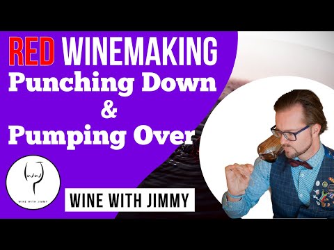 WSET Level 4 (Diploma) Red wine making: Punching Down and Pumping Over