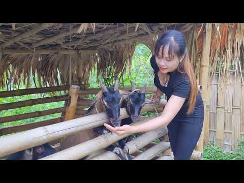 Building a peaceful life - peace of mind / Living with nature. Epx 82