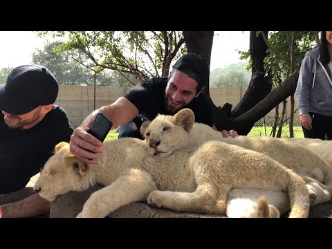 WWE/NXT Live Event Reports, April 18-23: South Africa Tour, WrestleMania Rematch, Kacy Catanzaro Debuts, Much More!