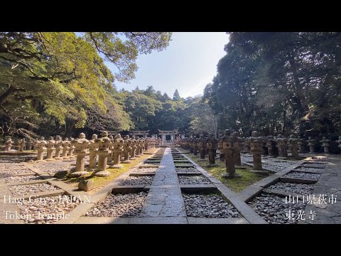 東光寺（Tokoji Temple）山口県萩市（Hagi City,JAPAN）