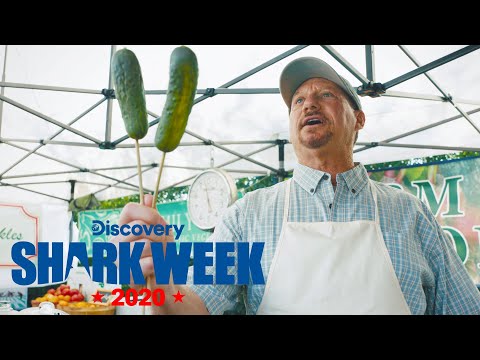 What channel is Shark Week 2020? - nj.com
