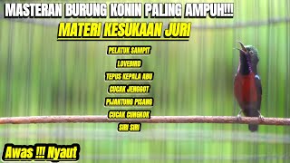 Download lagu MASTERAN KOLIBRI NINJA GACOR FULL TEMBAKAN MEWAH AMPUH BUAT PANCINGAN KONIN AGAR JUARA mp3