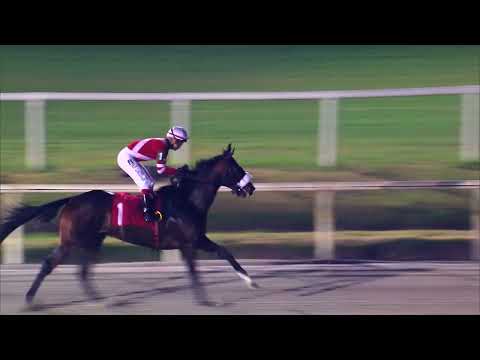 230625 c12 MILK SHAKE (BRZ)