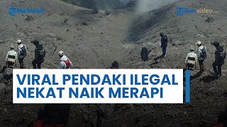Pendaki Ilegal Nekat Muncak Gunung Merapi saat Status Siaga, Diduga Lewat Jalur Tikus