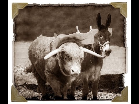 Dr Randy White and the false criteria-JAMES JACOB PRASCH-LIVE FROM ISRAEL