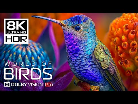 Amazing Bird World 8K HDR 🌿 Peaceful Birds Sounds for Stress Relief & Sleep