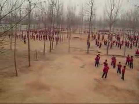 Tu je vezbao Burus Li