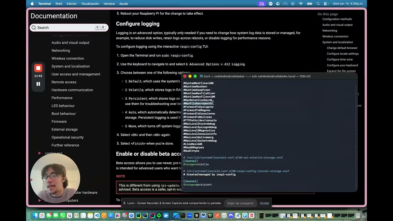 Persistent Logs on Raspberry Pi
