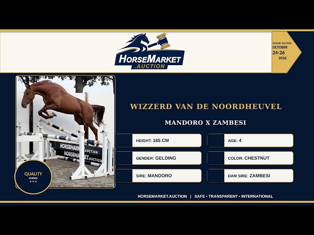 Wizzerd van de Noordheuvel
