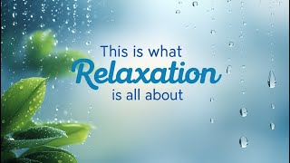 Relaxing Rainy day, Cozy Cabin Terrace with a Fire Place #stressrelief #relaxation