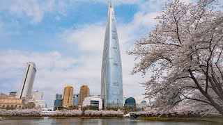 Cherry Blossoms Seoul Seokchon Lake and Lotte World Theme Park | Walking Tour 4K HDR