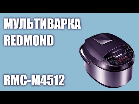 Redmond RMC M4512 Black/Silver