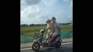 [問卦] 國中時期的神曲是哪首？