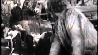 Randolph Scott Buffalo Stampede FULL MOVIE