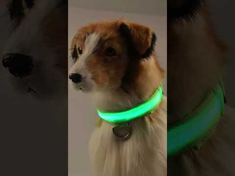 Shantanu's Surprising Morning Routine for Success || Know Before You Sleep