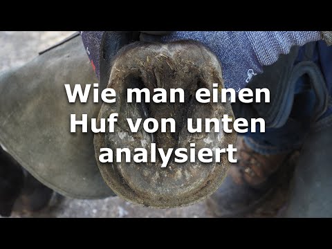 Wie man einen Huf von unten analysiert
