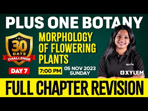 Plus One - Botany - Morphology of Flowering Plants | Xylem Plus One