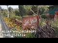 Plants Nursery Visit ALLAH Wali Nursery City Karachi