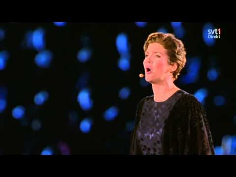 Maria Ylipää - Du Måste Finnas (Live @ Friends Arena 2012-10-27)