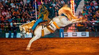 A FINAL EM CAVALOS DA EXPOUMUARAMA FOI UM ESPETÁCULO