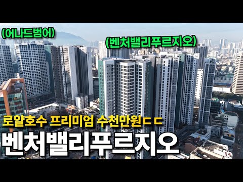 벤처밸리푸르지오 분양권 프리미엄 형성｜완판 앞둔 현장, 분양권 …