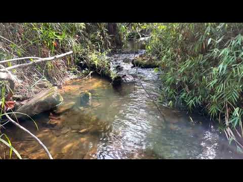 Fazenda São Miguel — Bias Fortes — MG