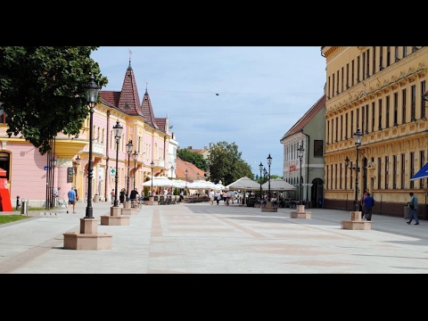 VINKOVCI U SRCU MOM--Zvonko Spajić-SPAJKI